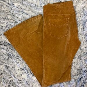 31” we the free jeans